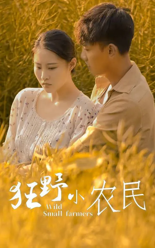 达拉斯舞男俱乐部